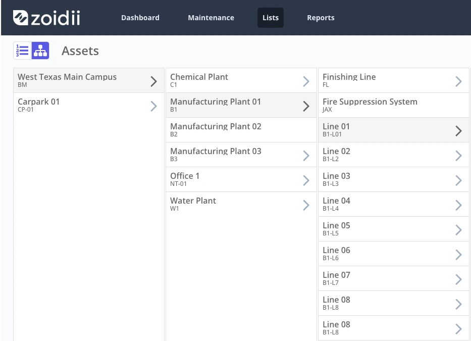 Zoidii Asset Hierarchy